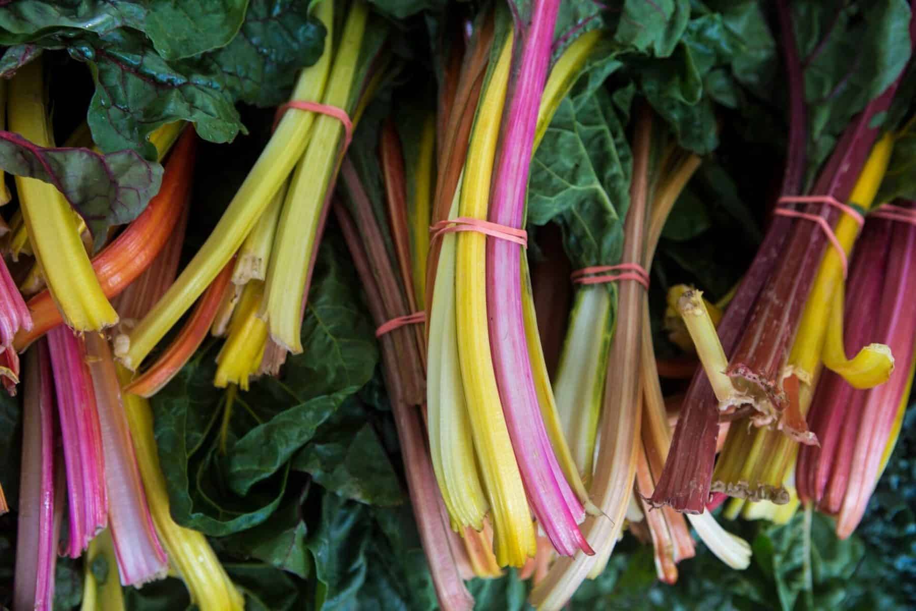 Rainbow Chard