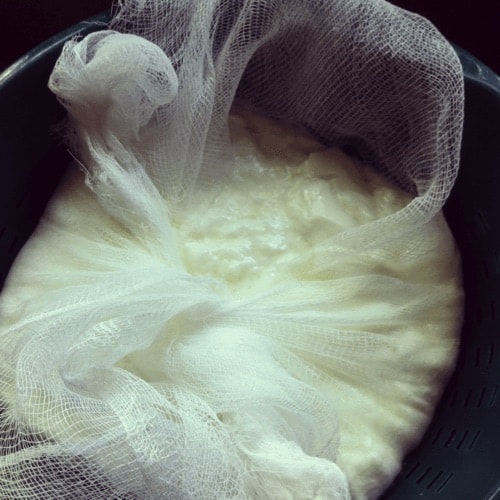 Cheese in a cheesecloth