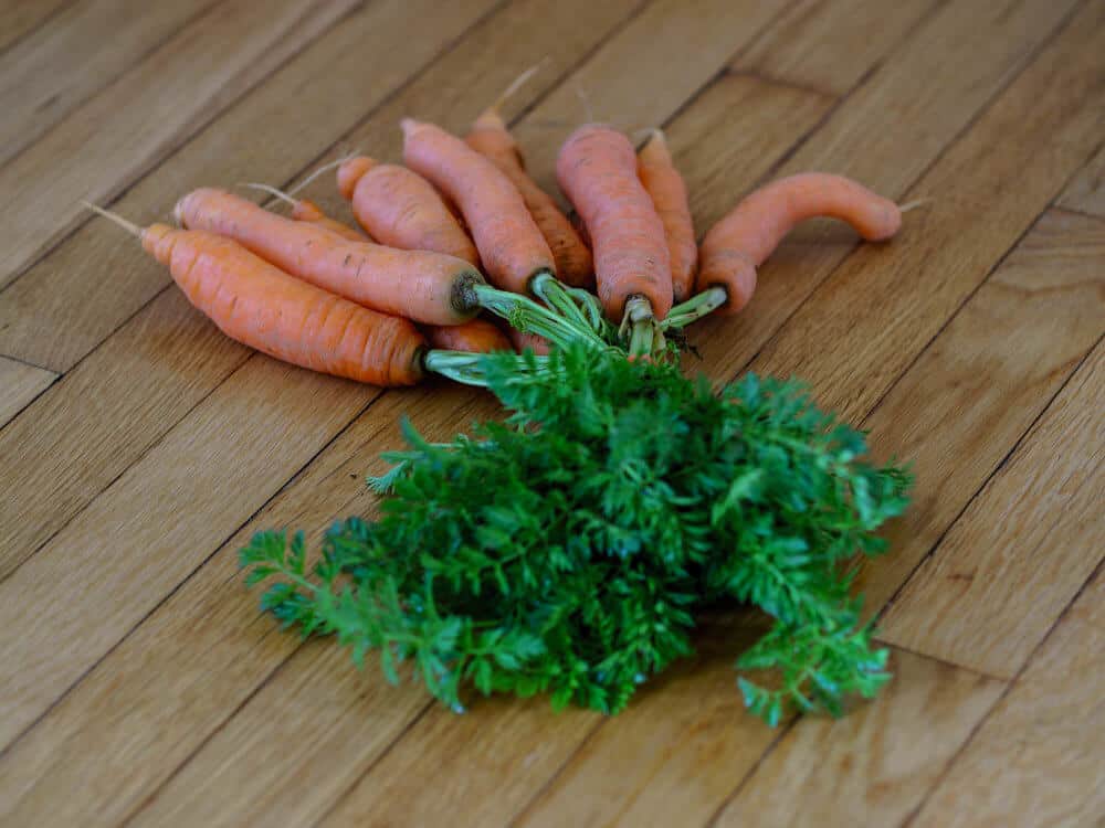 Bunch of carrots on the table