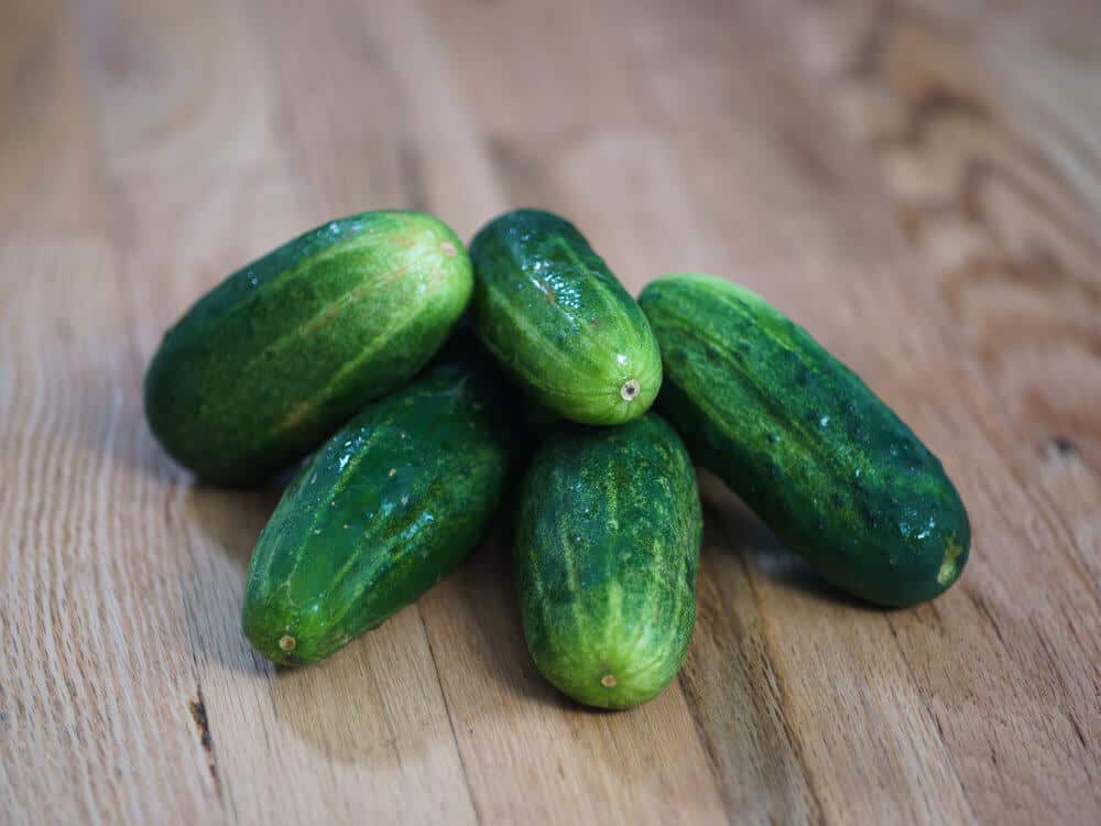 Cucumbers photo by Zachary Cross