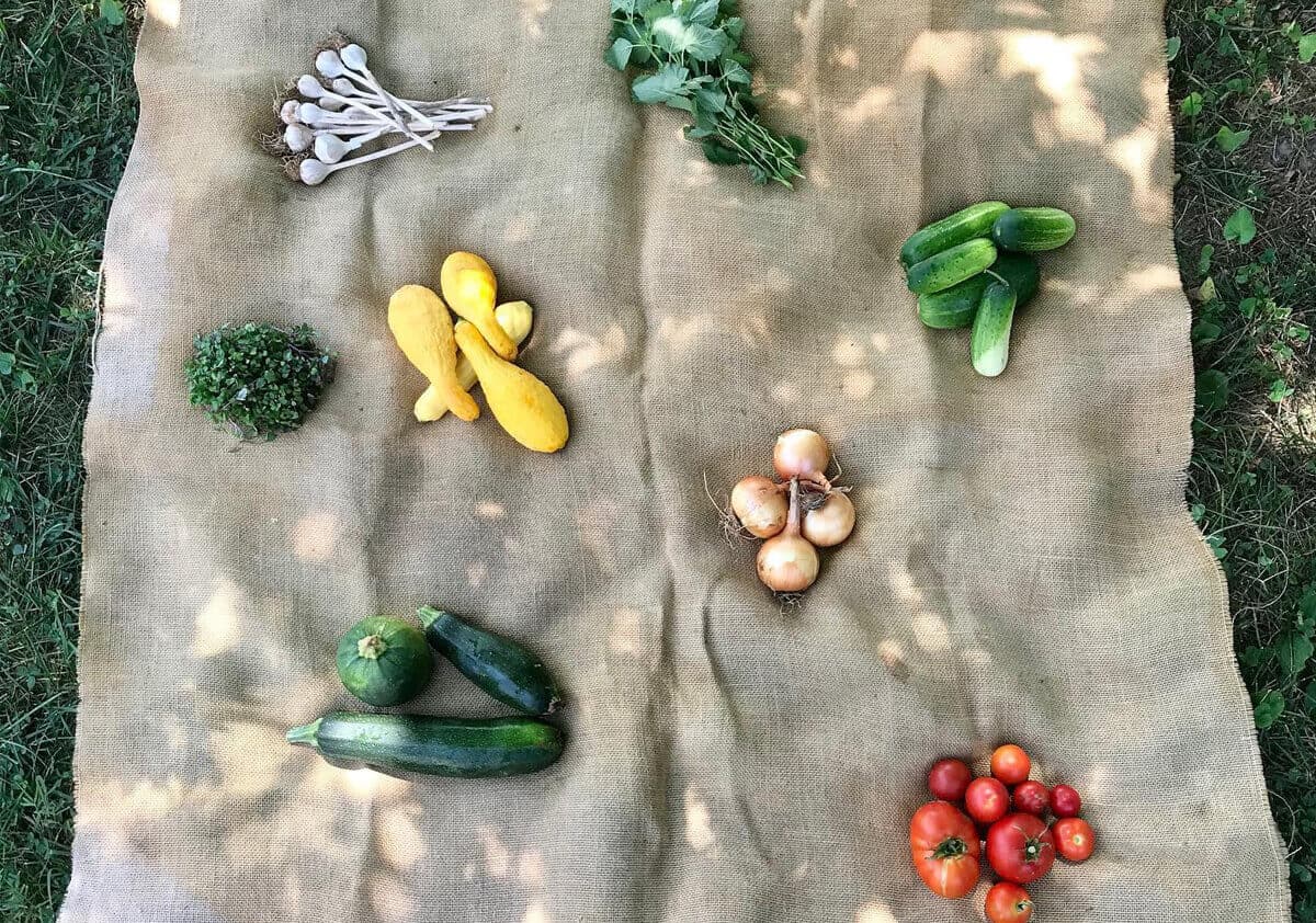 Vegetables spaced out on burlap