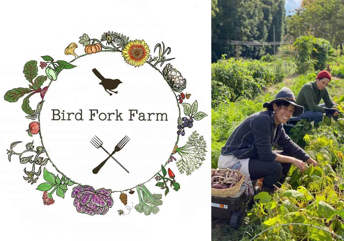 Bird Fork Farm logo and farmers