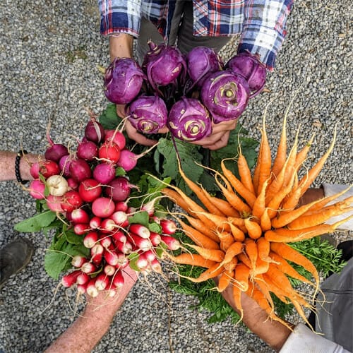 Grouping of bunches of veggies