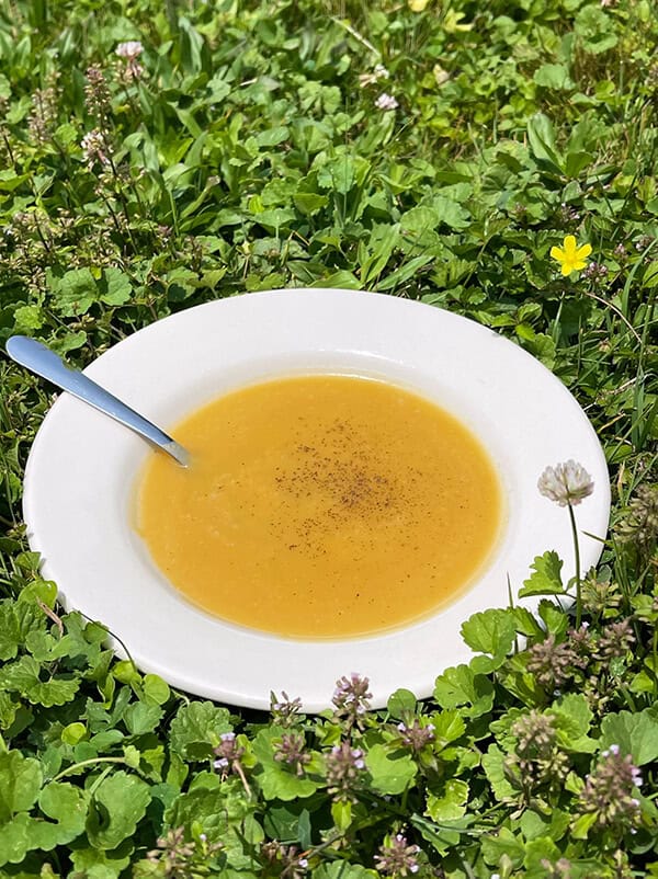 Squash soup in a bowl