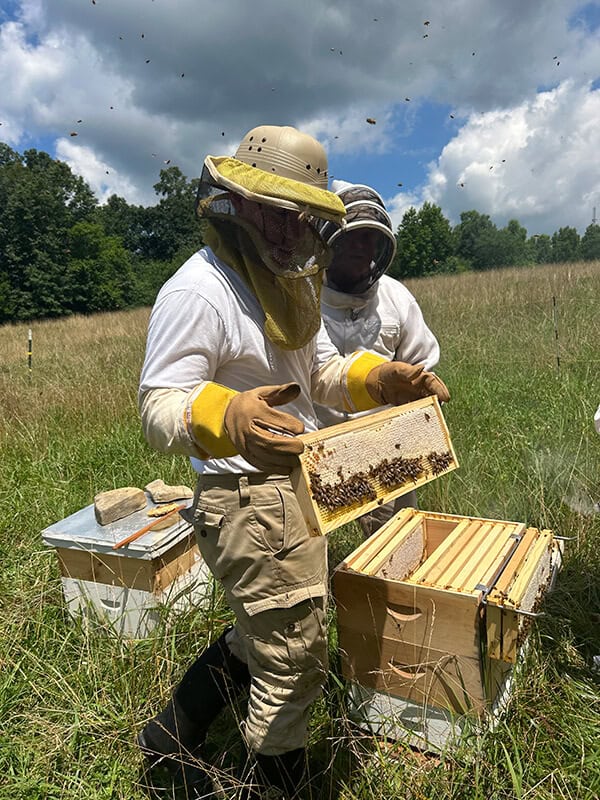 Joe with honeycombs at Quail Run Farm