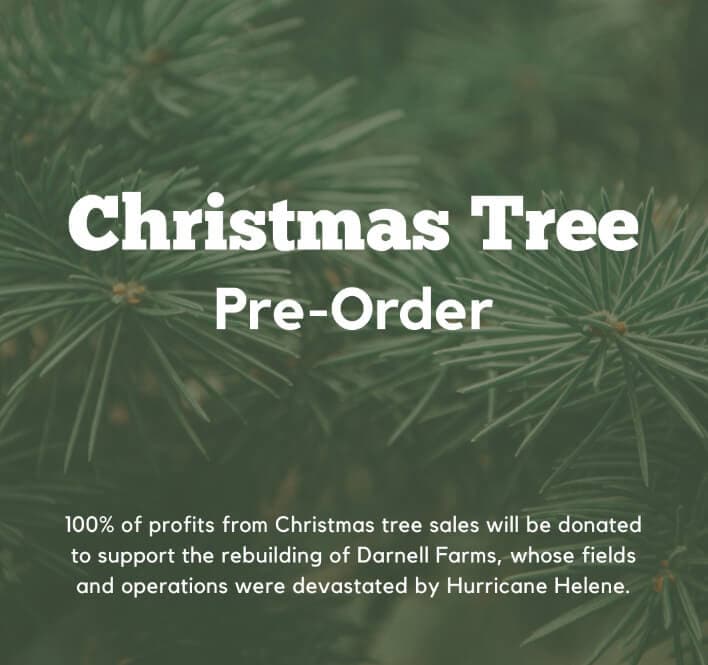 Christmas Tree Pre-Order