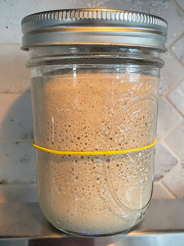 Sourdough starter in a jar